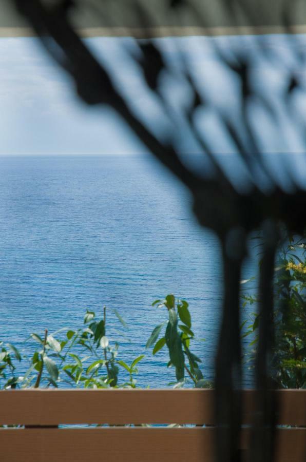 Thea Suites Potidea نيا بوتيدايا المظهر الخارجي الصورة